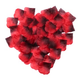 Pack de 100 Pétales de Rose - 100610RED