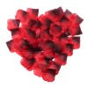 Pack de 100 Pétales de Rose - 100610RED