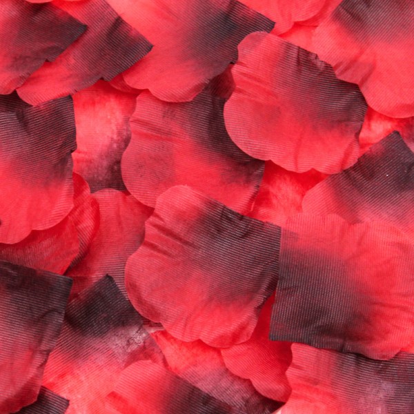 Pack de 100 Pétales de Rose - 100610RED