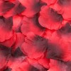 Pack de 100 Pétales de Rose - 100610RED