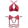 Ensemble BDSM bordeaux - Cotelli Bondage