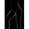 Clip Y Back Thong   - MAL1092WPK