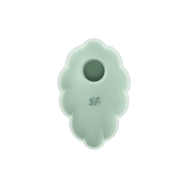 Stimulateur clitoridien par onde de pression sans contact et par vibration USB vert menthe, Cloud Dancer Satisfyer - CC597838