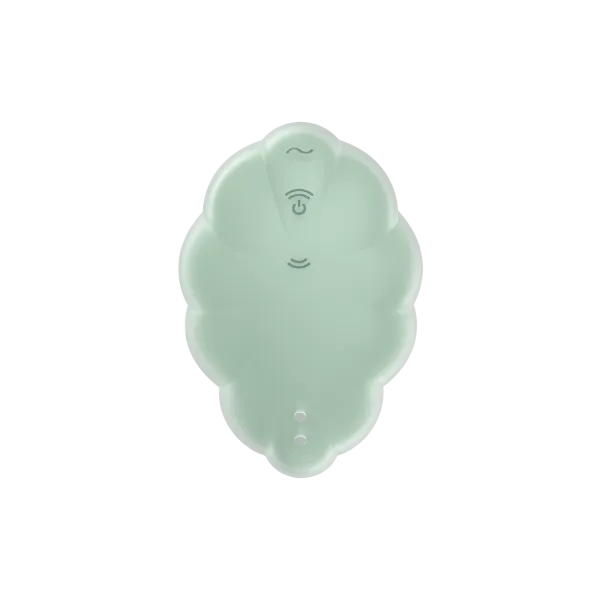 Stimulateur clitoridien par onde de pression sans contact et par vibration USB vert menthe, Cloud Dancer Satisfyer - CC597838