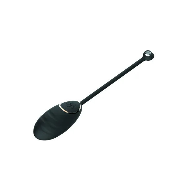 Œuf vibrant noir avec télécommande USB - DAISYBLACK
